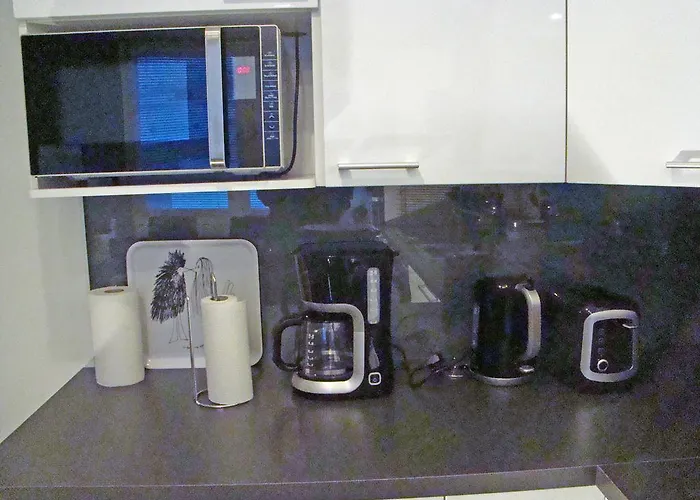 公寓 圣卢斯公寓 *