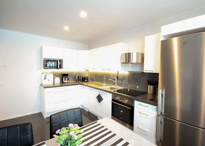 公寓 圣卢斯公寓 罗瓦涅米