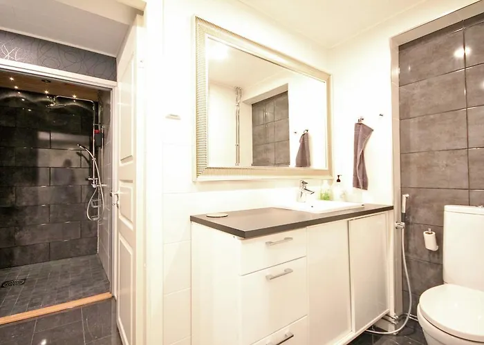 公寓 圣卢斯公寓 *